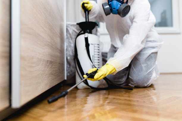 Best Pest Control Near Me  in Rainier, OR