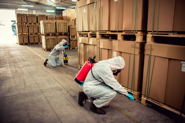 Best Emergency Pest Control  in Rainier, OR