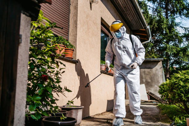 Best Flea Control Services  in Rainier, OR