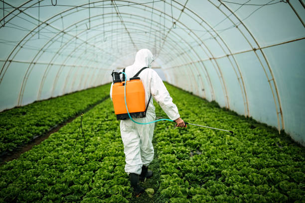 Best Affordable Pest Control Services  in Rainier, OR