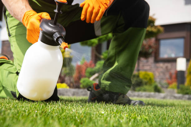 Best Termite Control Services  in Rainier, OR