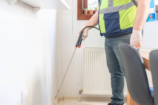 Best Local Pest Control Services  in Rainier, OR