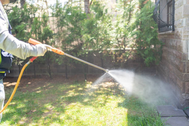 Best Pest Control Near Me  in Rainier, OR