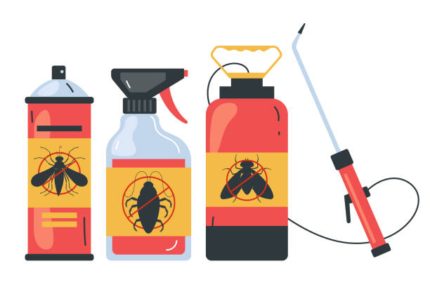 Trusted Rainier, OR Pest Control Experts