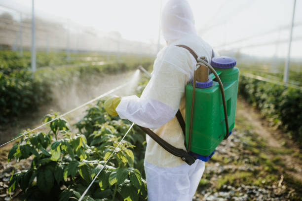 Best Best Pest Control Companies  in Rainier, OR